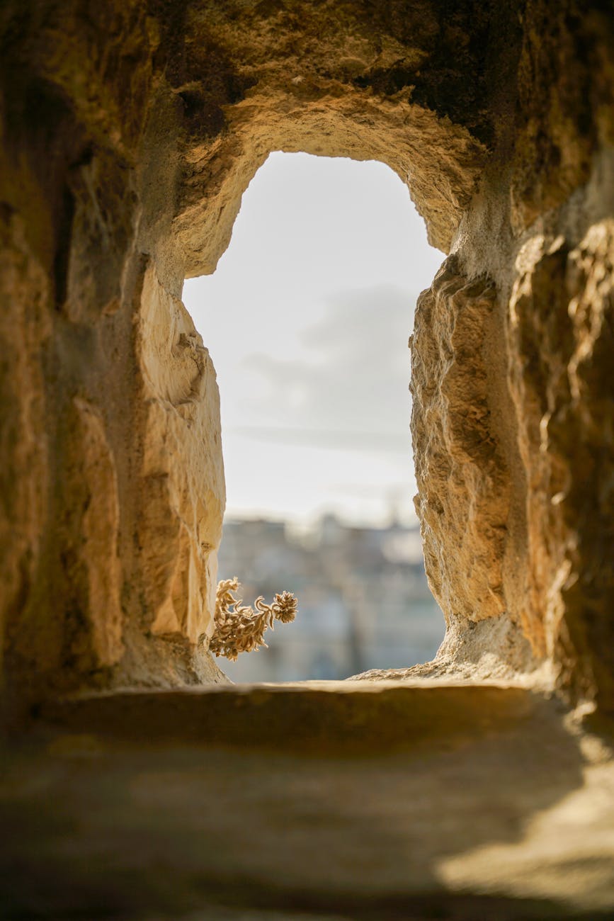 Behold the Risen King