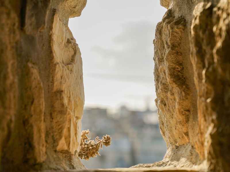 Behold the Risen&nbsp;King