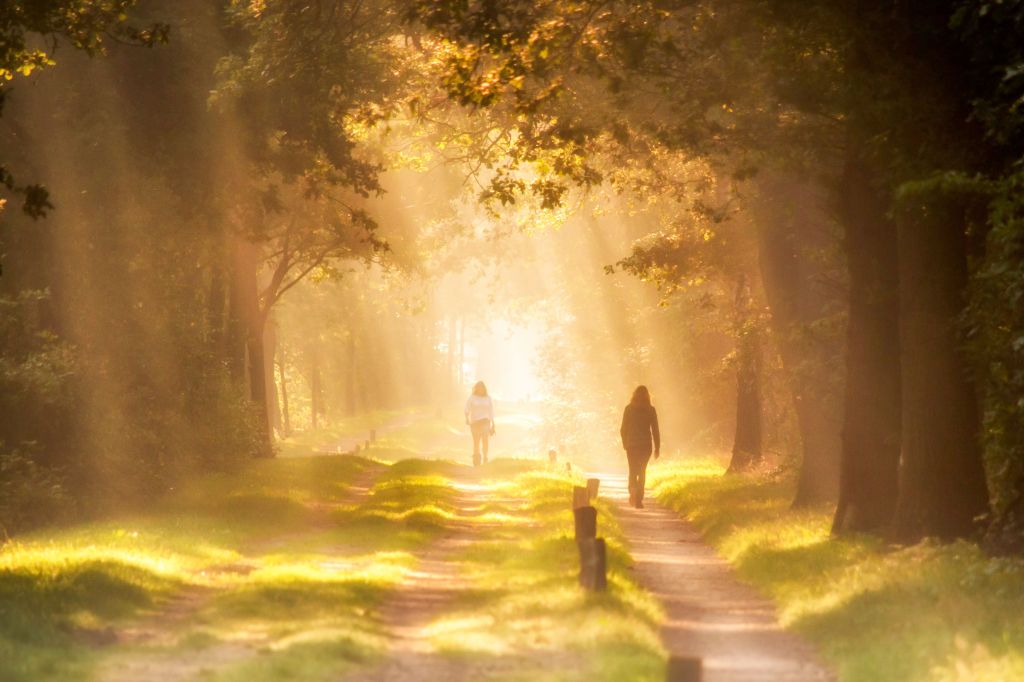 Imitating God: Walking in Light